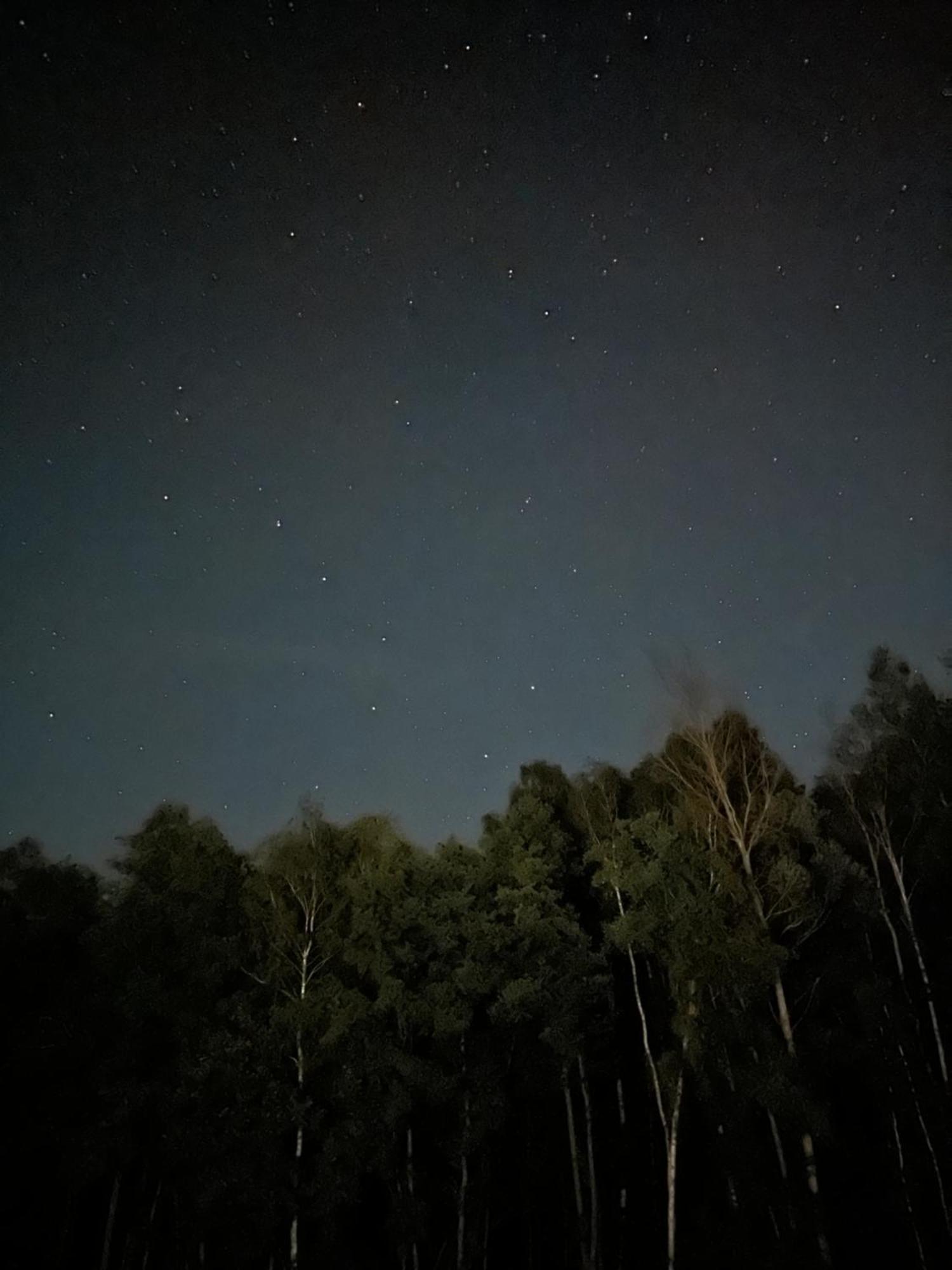 Wilga Lesne Solec-Zdrój