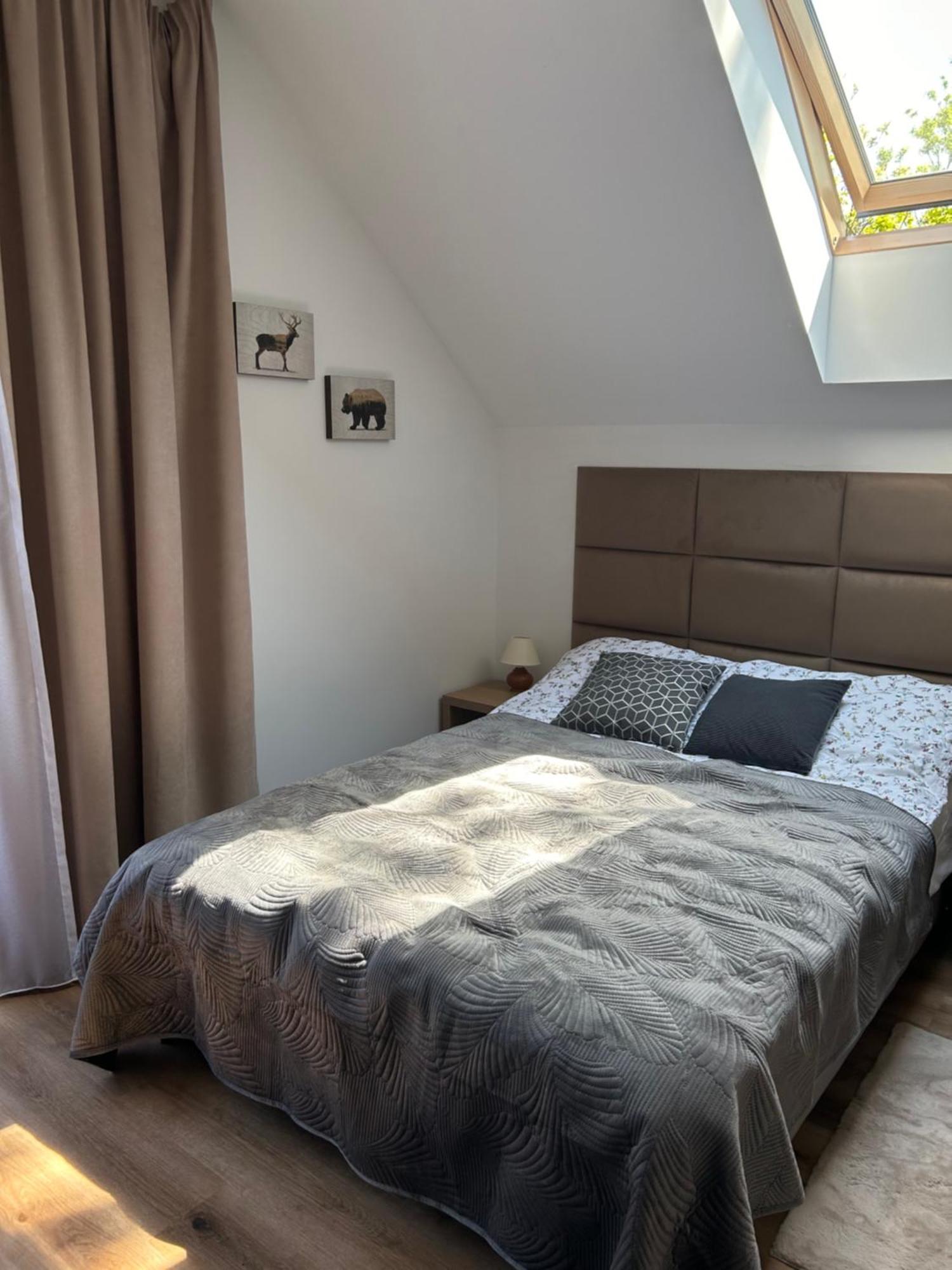 Wilga Lesne Apartment